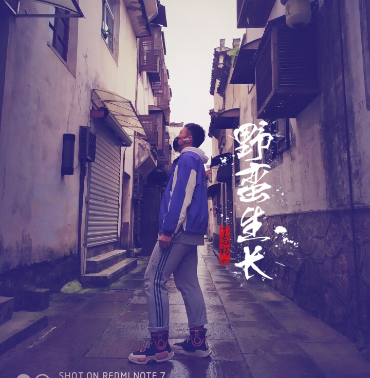 一杯茶，一本书。一段话，一条巷。