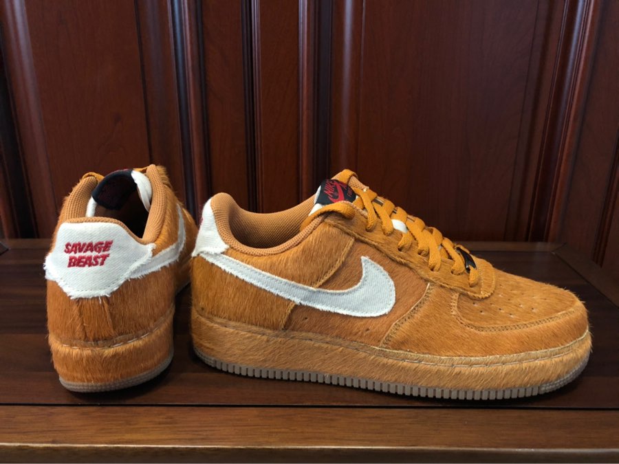 AF1小麦