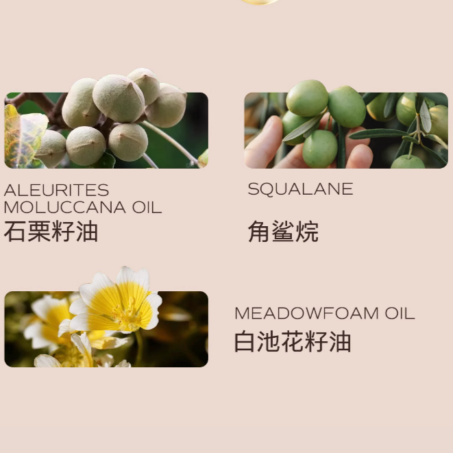 购物之前要识货 正品保障|平台比价|售后无忧