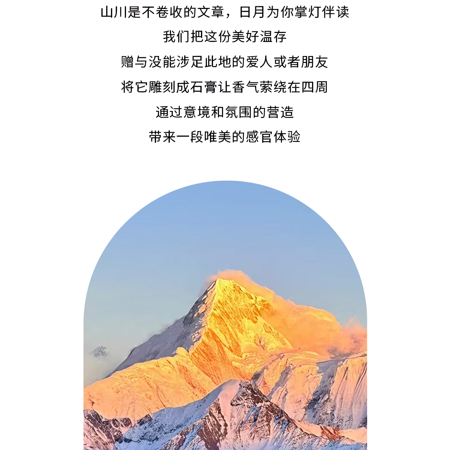 购物之前要识货 正品保障|平台比价|售后无忧