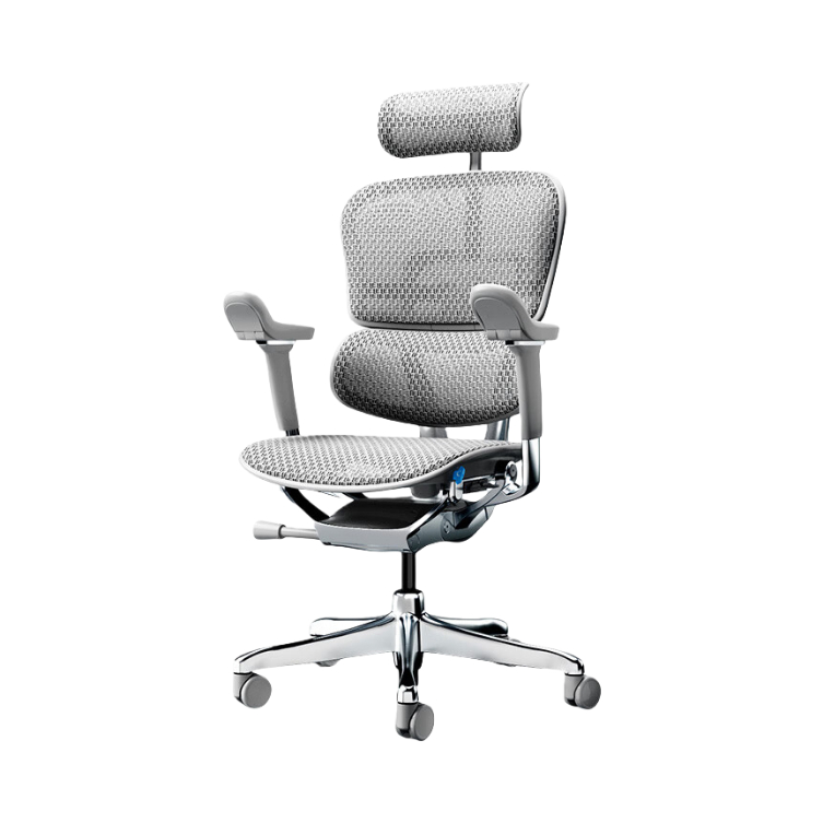 推荐商品：Ergonor/保友办公家具 金豪系列 人体工学椅 E2 Pro