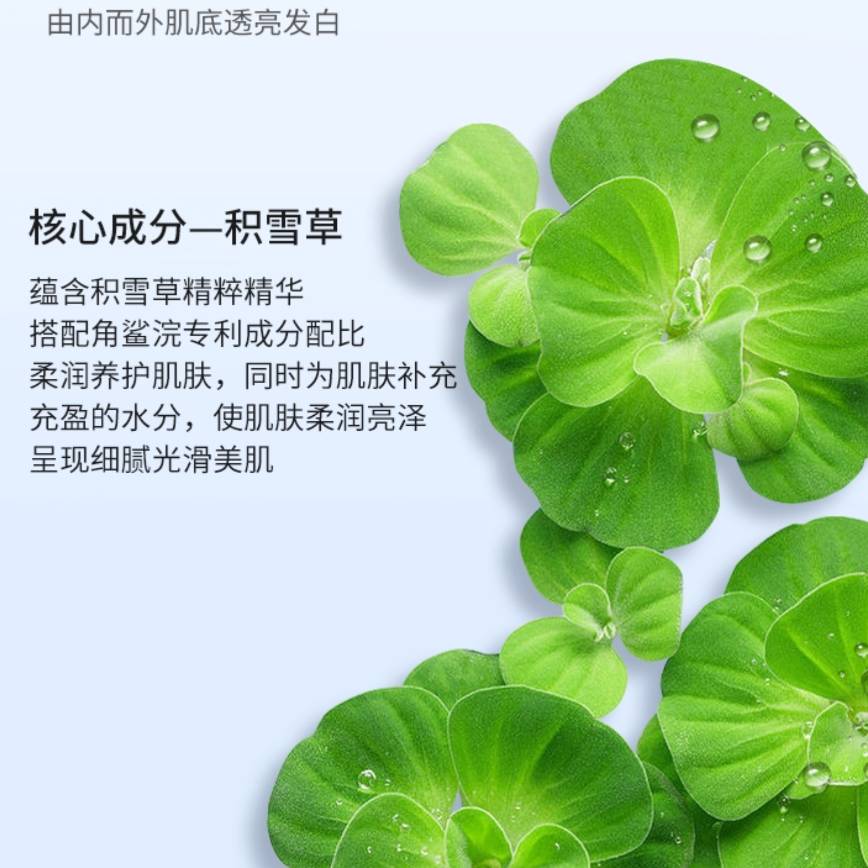 购物之前要识货 正品保障|平台比价|售后无忧
