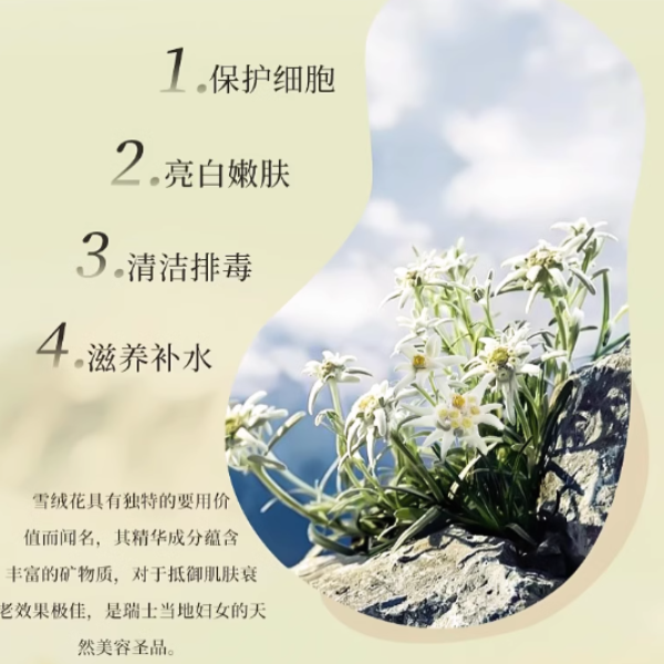 购物之前要识货 正品保障|平台比价|售后无忧