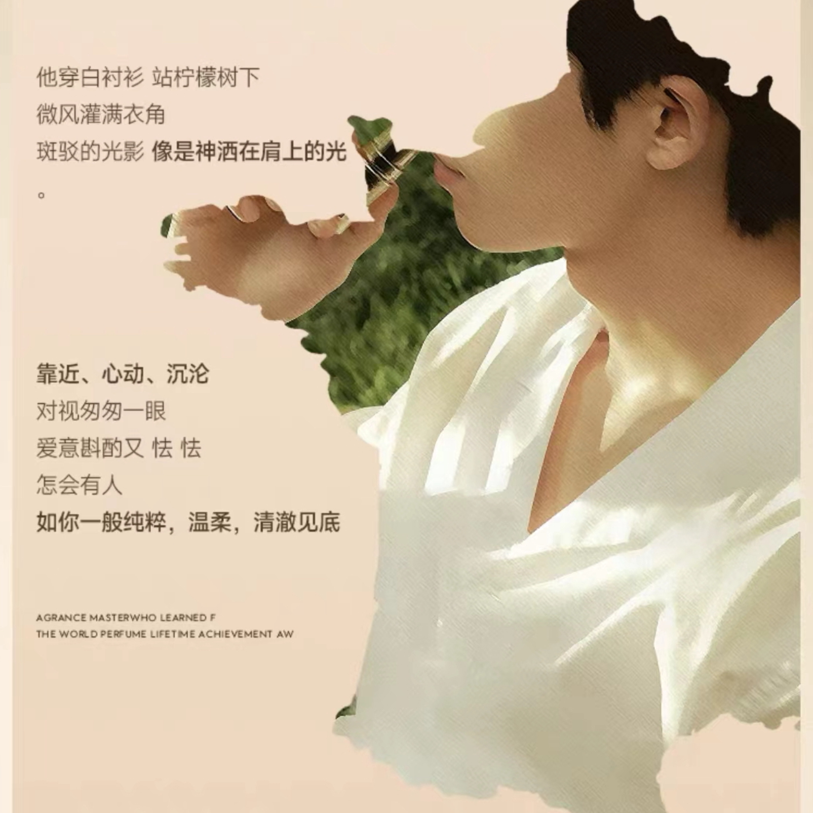 购物之前要识货 正品保障|平台比价|售后无忧