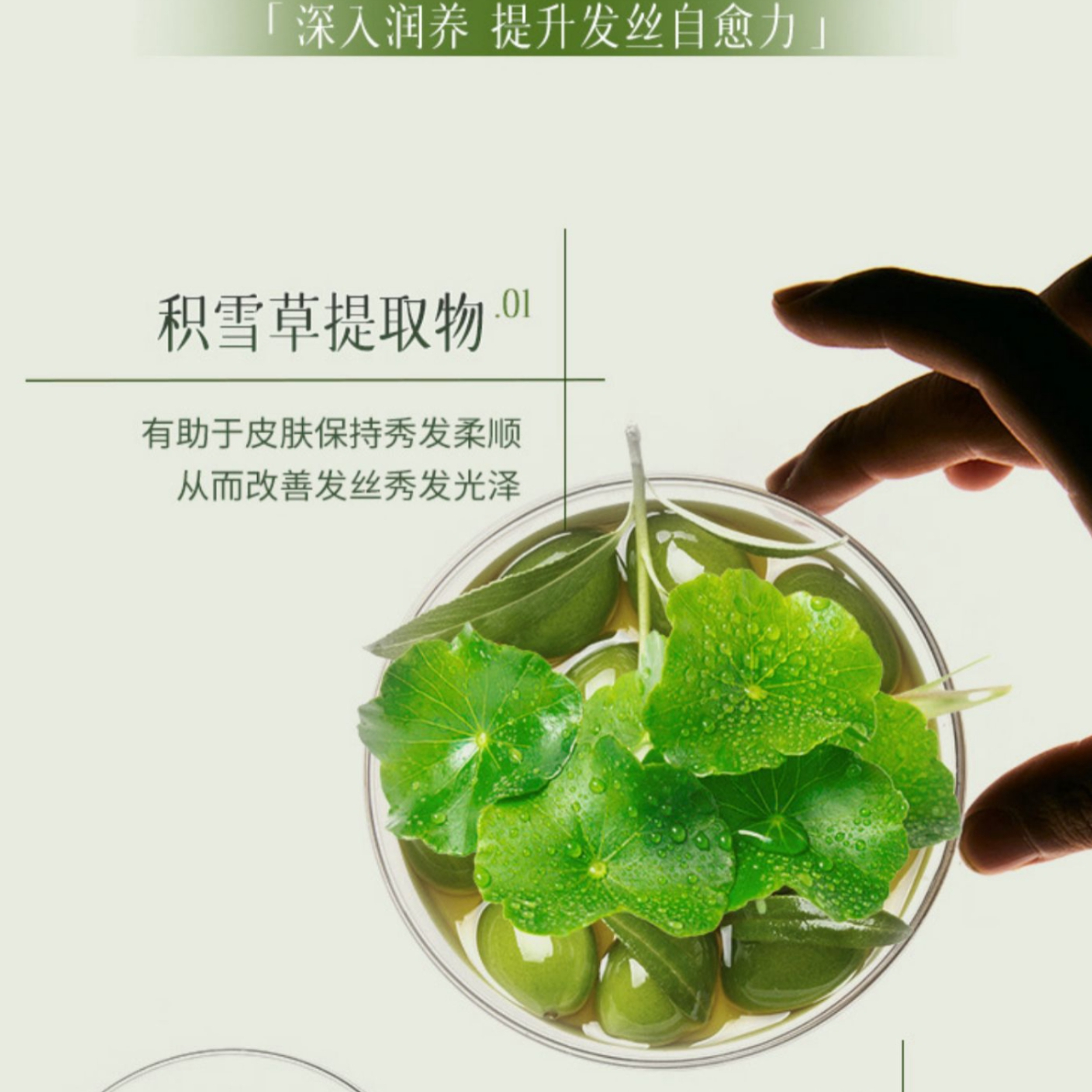 购物之前要识货 正品保障|平台比价|售后无忧