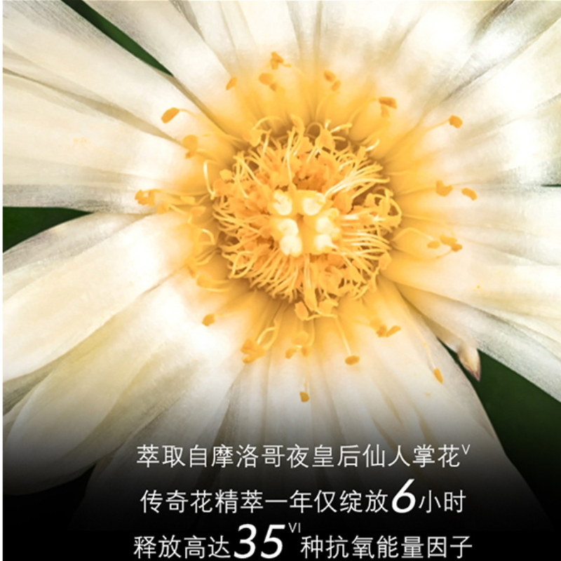 购物之前要识货 正品保障|平台比价|售后无忧