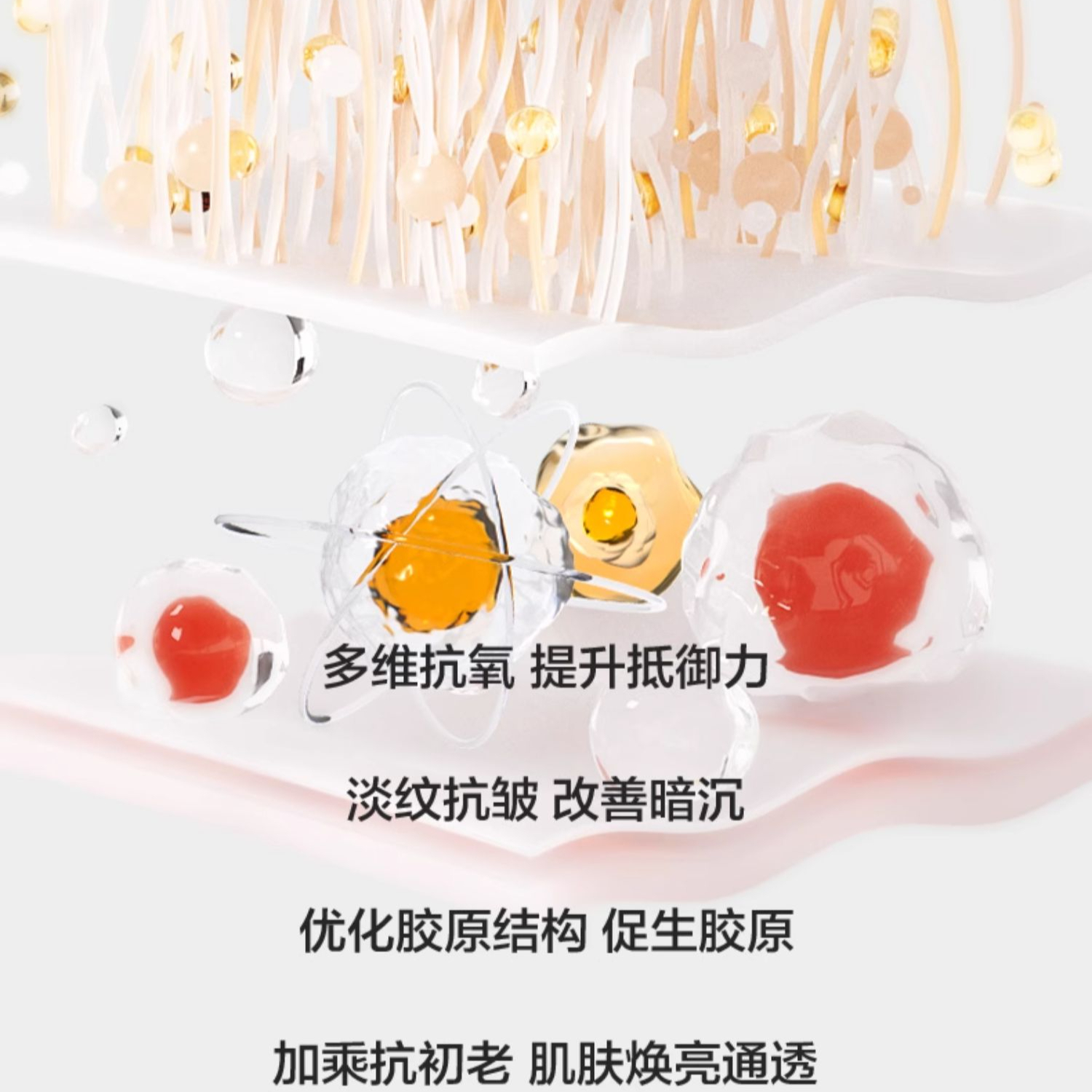 购物之前要识货 正品保障|平台比价|售后无忧