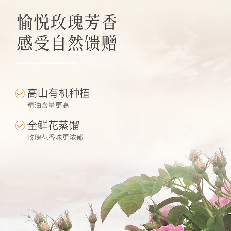 购物之前要识货 正品保障|平台比价|售后无忧