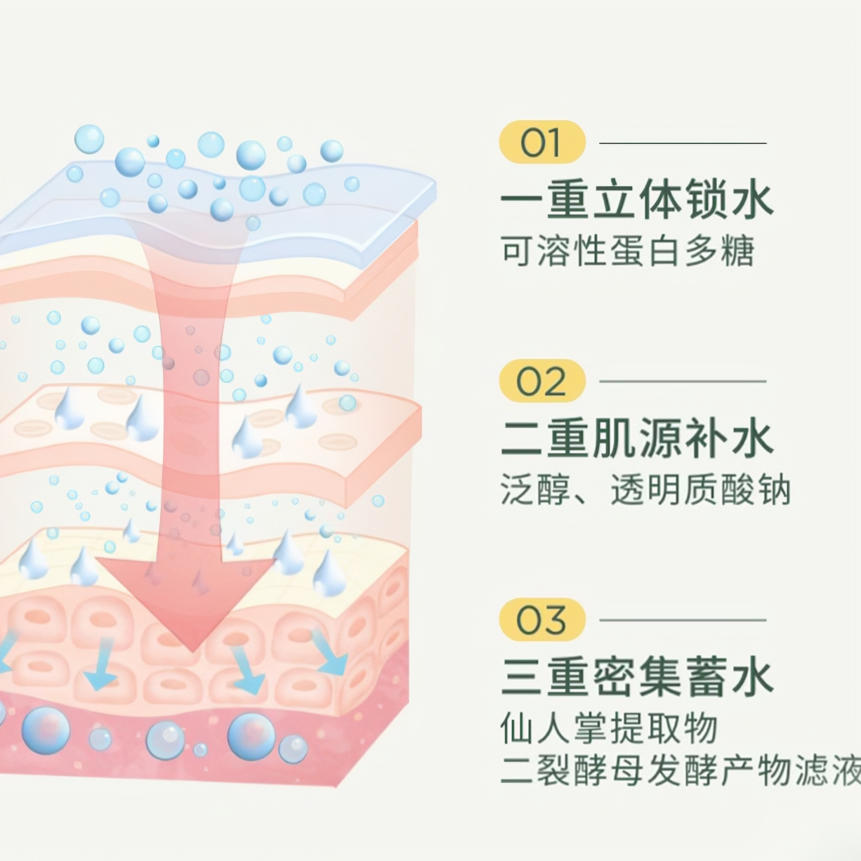 购物之前要识货 正品保障|平台比价|售后无忧