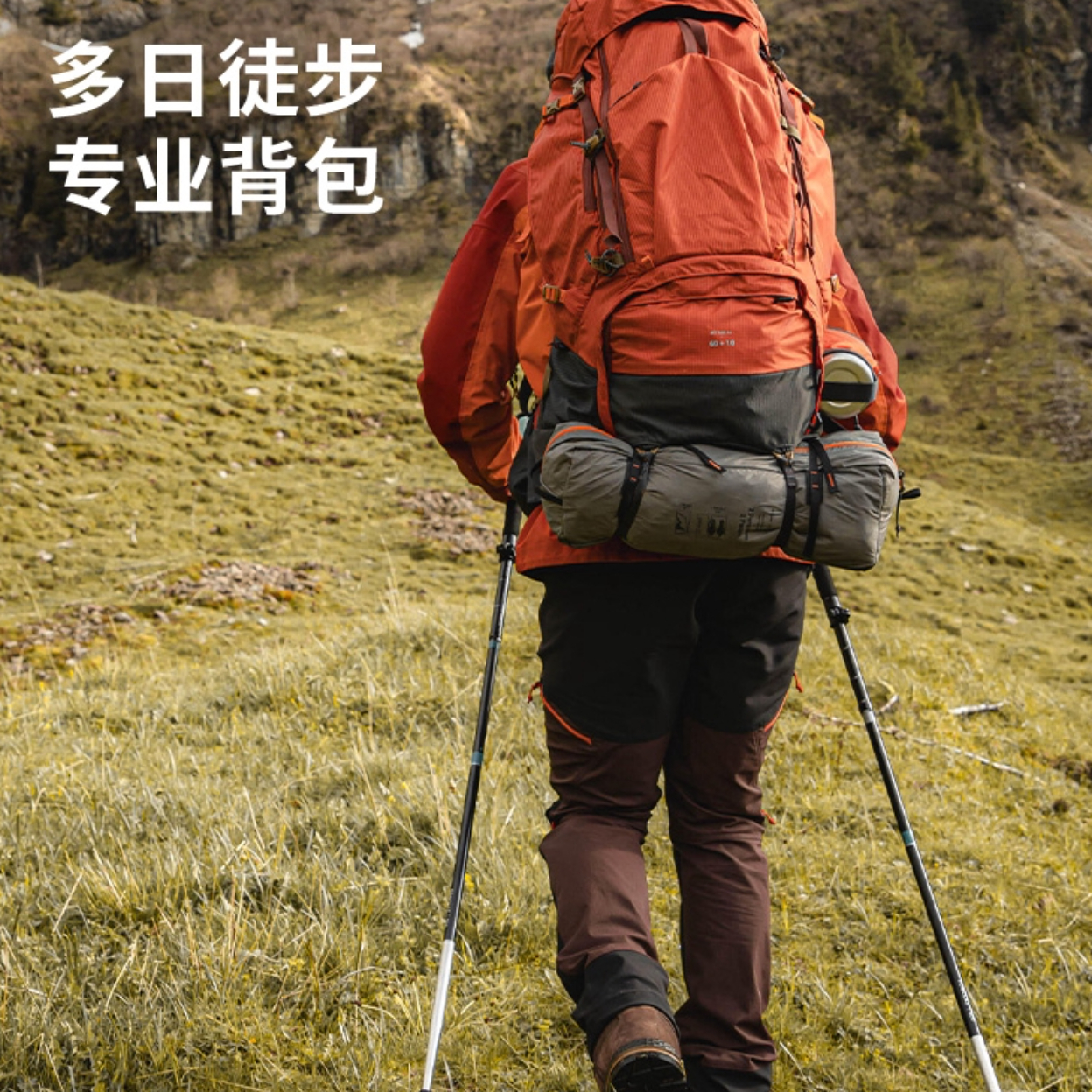 购物之前要识货 正品保障|平台比价|售后无忧