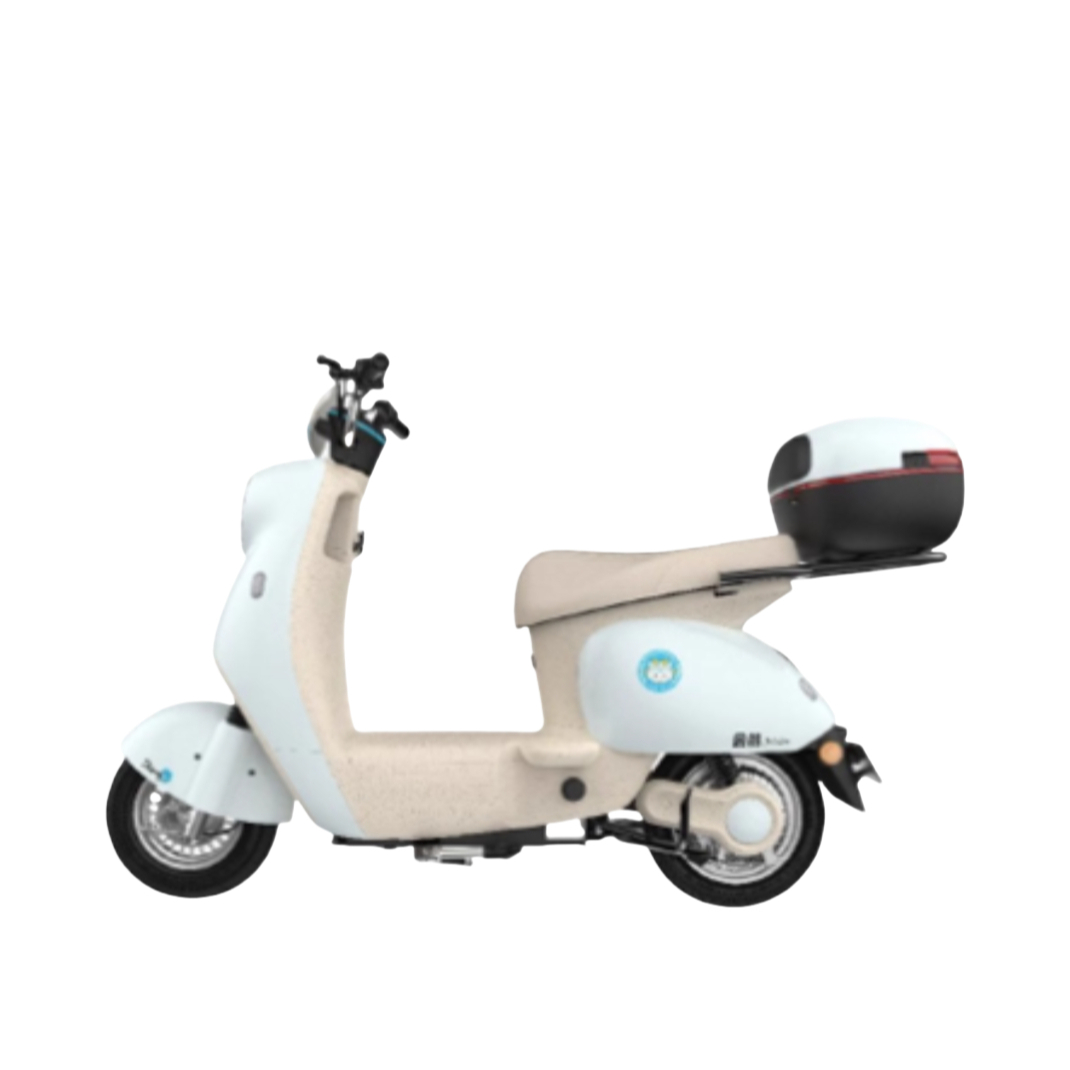 推荐商品：金箭 灵彩 JJ800DQT-10 3C认证 新国标 复古 双簧减震 长续航 电动摩托车