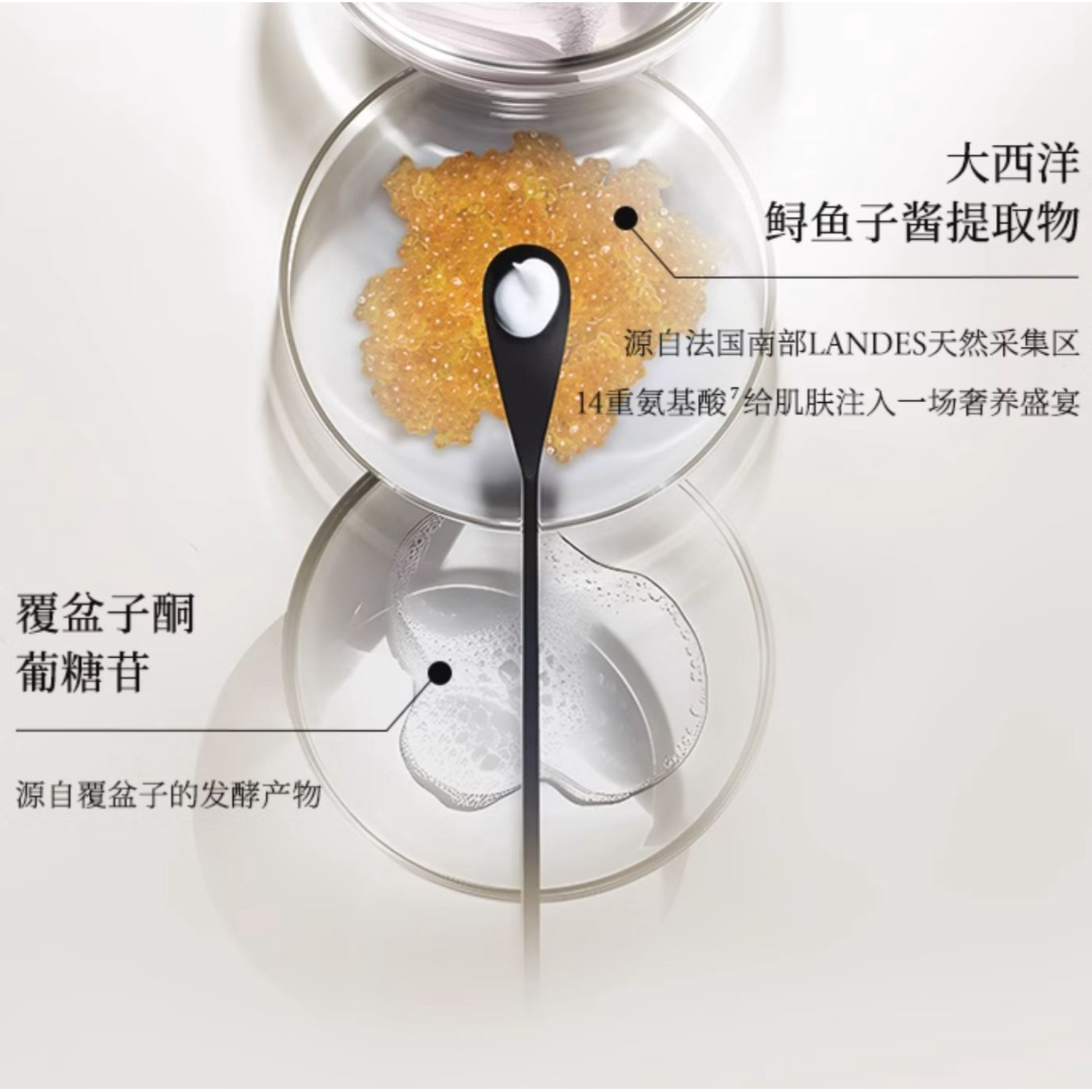 购物之前要识货 正品保障|平台比价|售后无忧