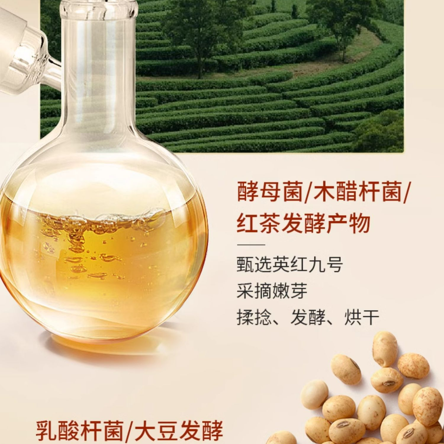 购物之前要识货 正品保障|平台比价|售后无忧