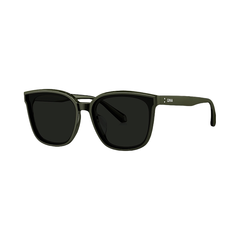 推荐商品：【赵露思同款】QINA亓那 24SS板材防晒太阳镜 QN3010