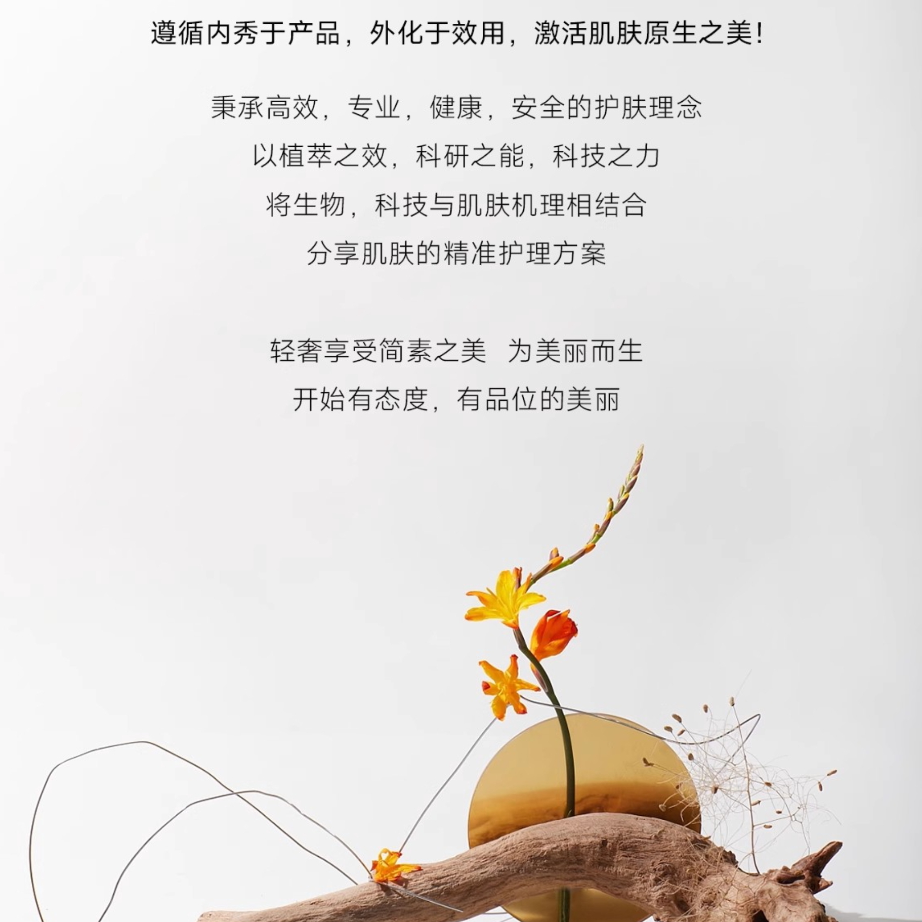 购物之前要识货 正品保障|平台比价|售后无忧