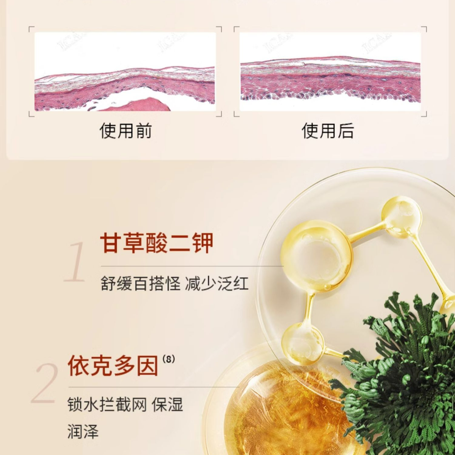 购物之前要识货 正品保障|平台比价|售后无忧