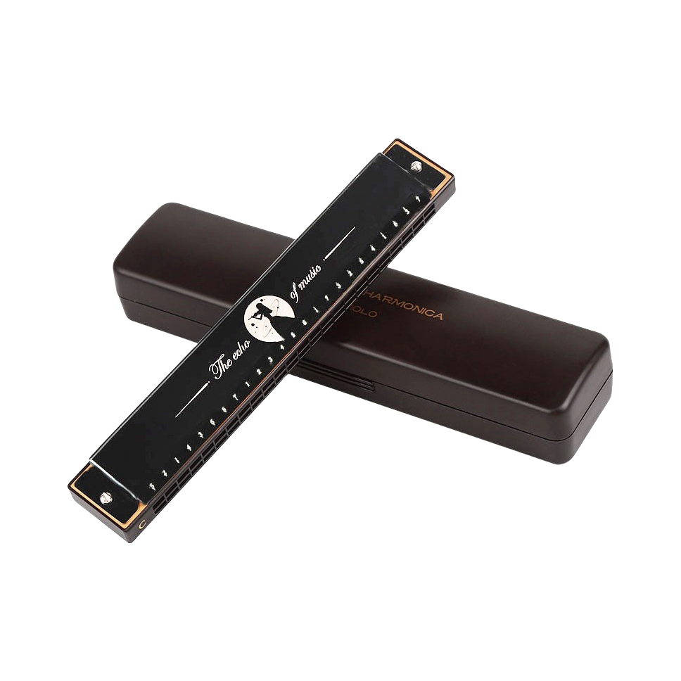 推荐商品：奇美 24孔初学者复音口琴