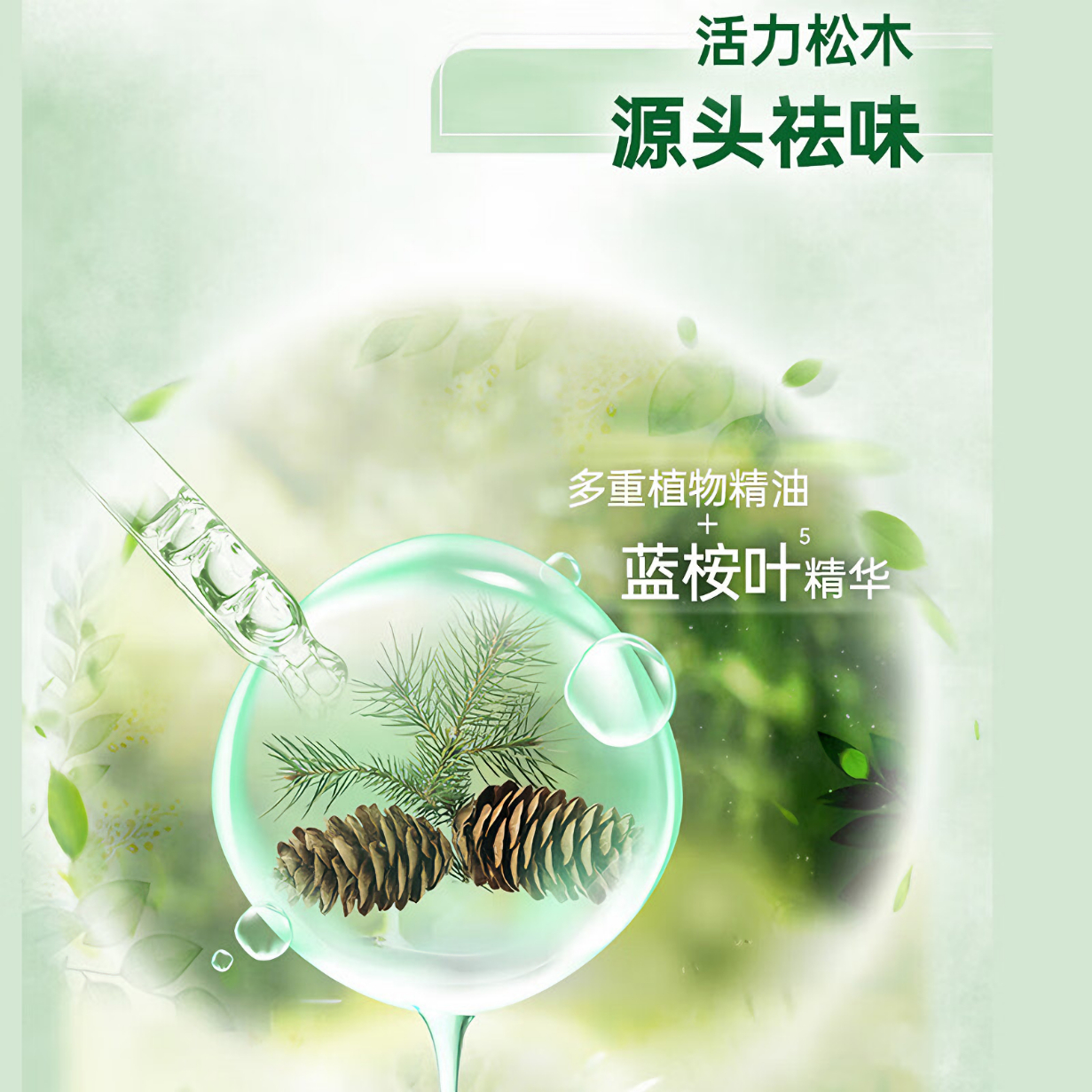 购物之前要识货 正品保障|平台比价|售后无忧