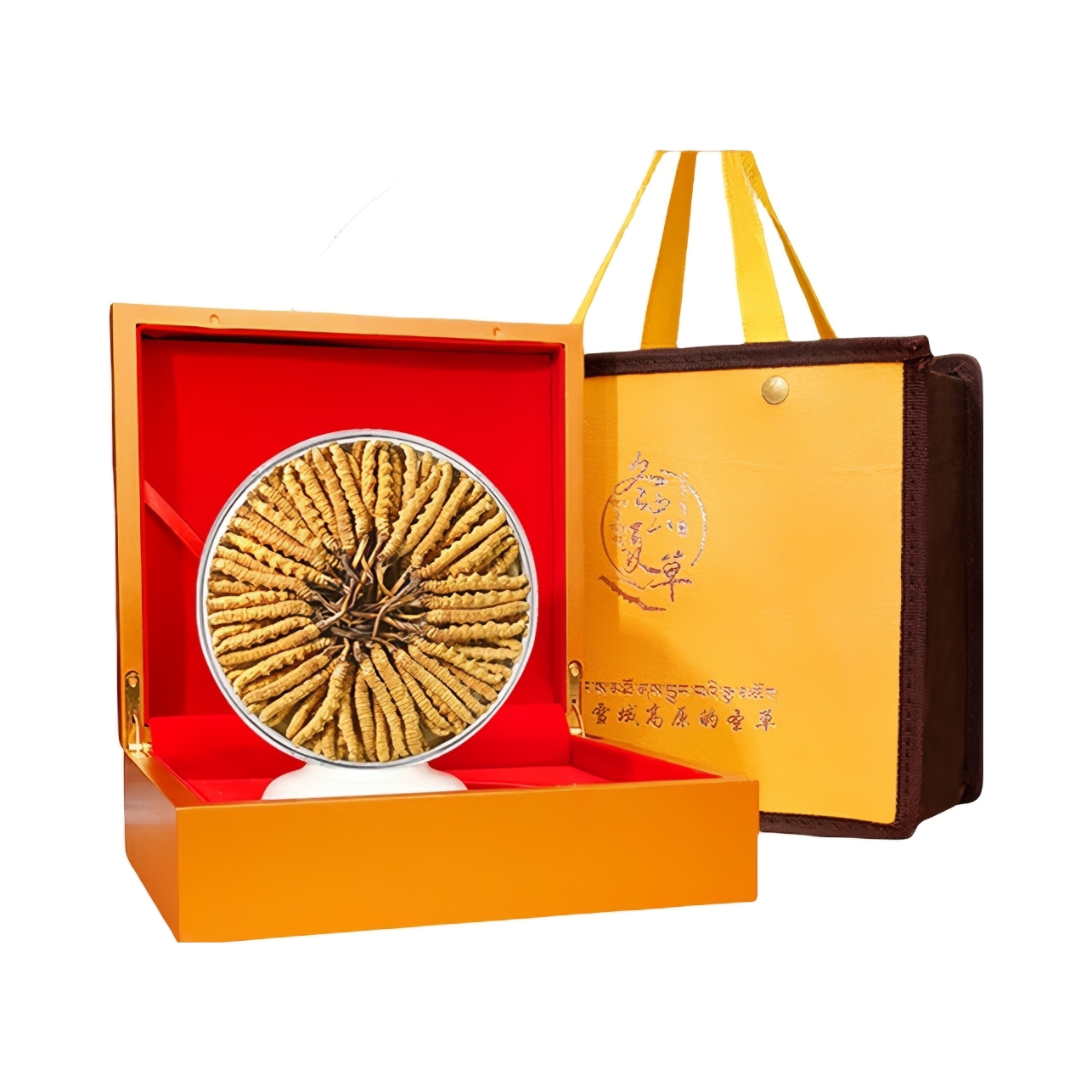 推荐商品：藏汐堂 那曲冬虫夏草 新干虫草礼盒 无空心无断草虫体饱满