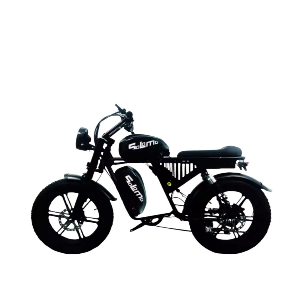 推荐商品：FRRX/法克斯 新国标 潮流越野 复古 减震 持久续航 电动自行车