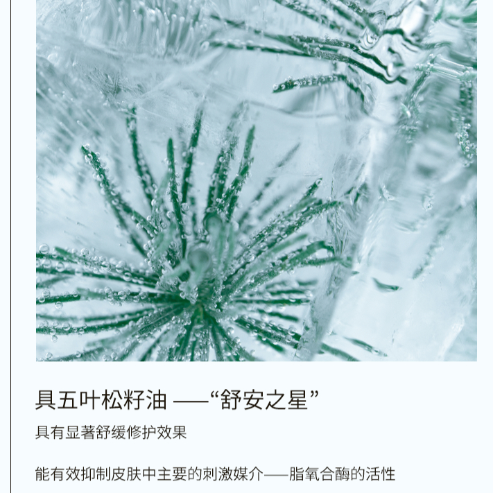 购物之前要识货 正品保障|平台比价|售后无忧