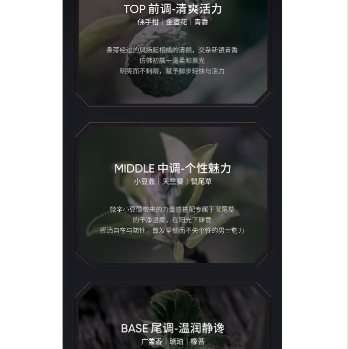 购物之前要识货 正品保障|平台比价|售后无忧