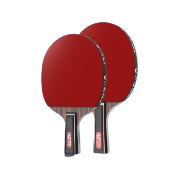 推荐商品：YSTMKE 六星职业版 乒乓球拍