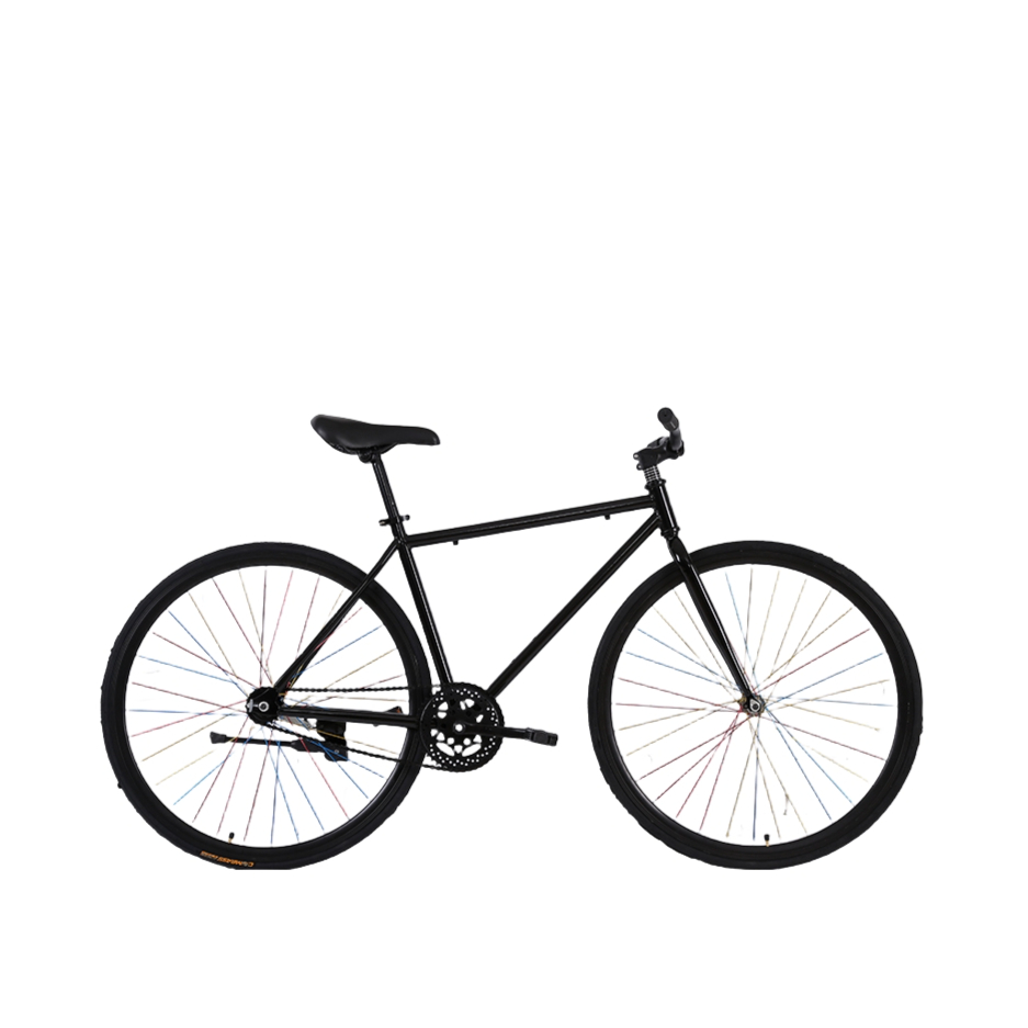 推荐商品：洛维斯 高碳钢 实心胎 活飞 双碟刹 公路车