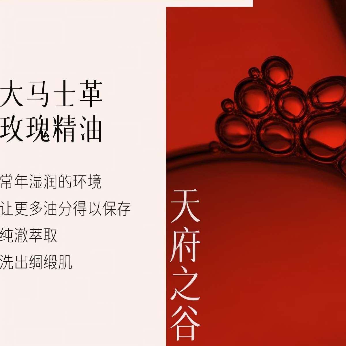 购物之前要识货 正品保障|平台比价|售后无忧