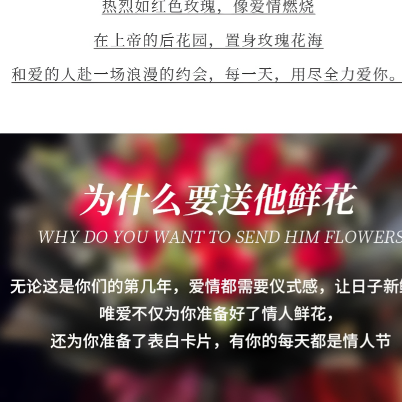 购物之前要识货 正品保障|平台比价|售后无忧