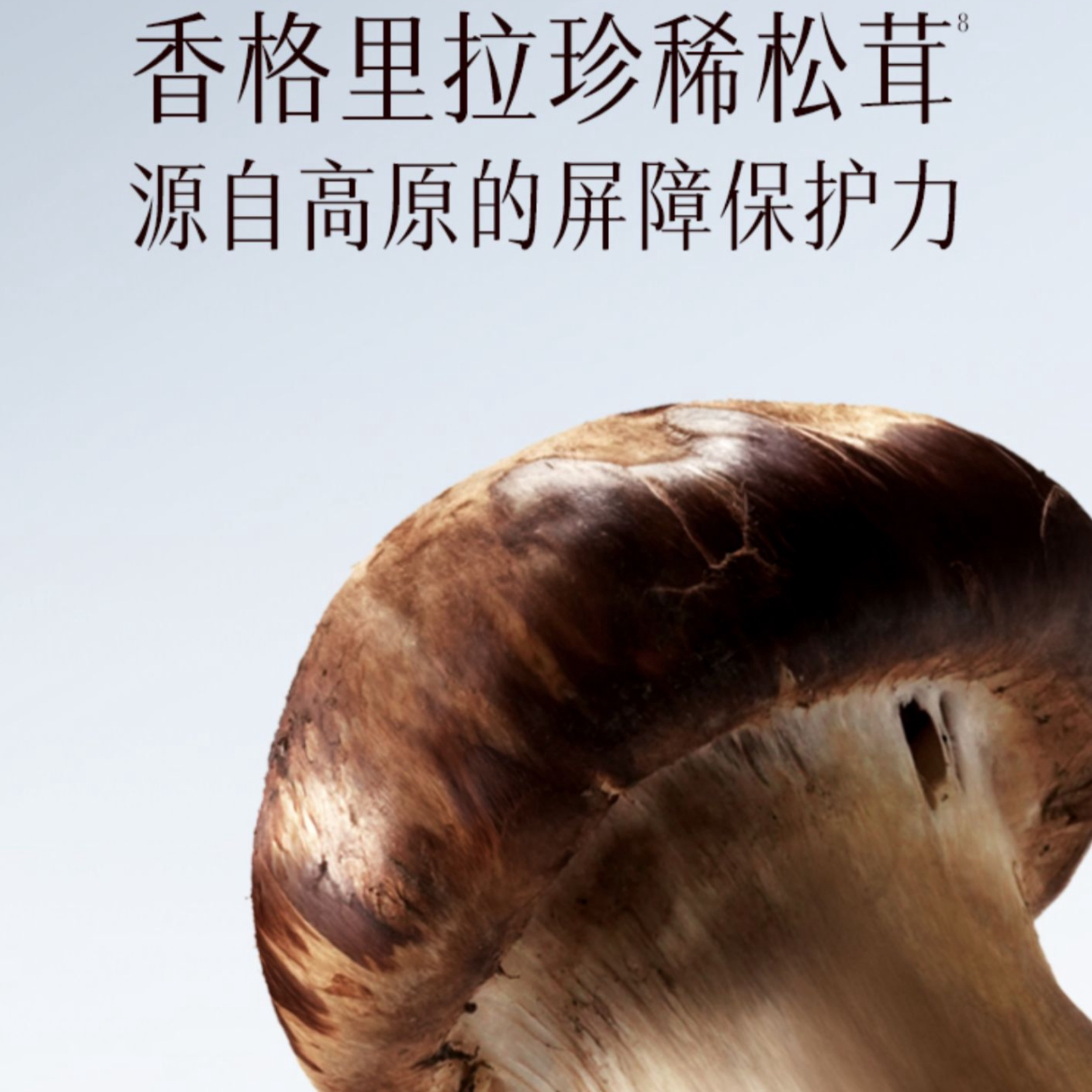 购物之前要识货 正品保障|平台比价|售后无忧