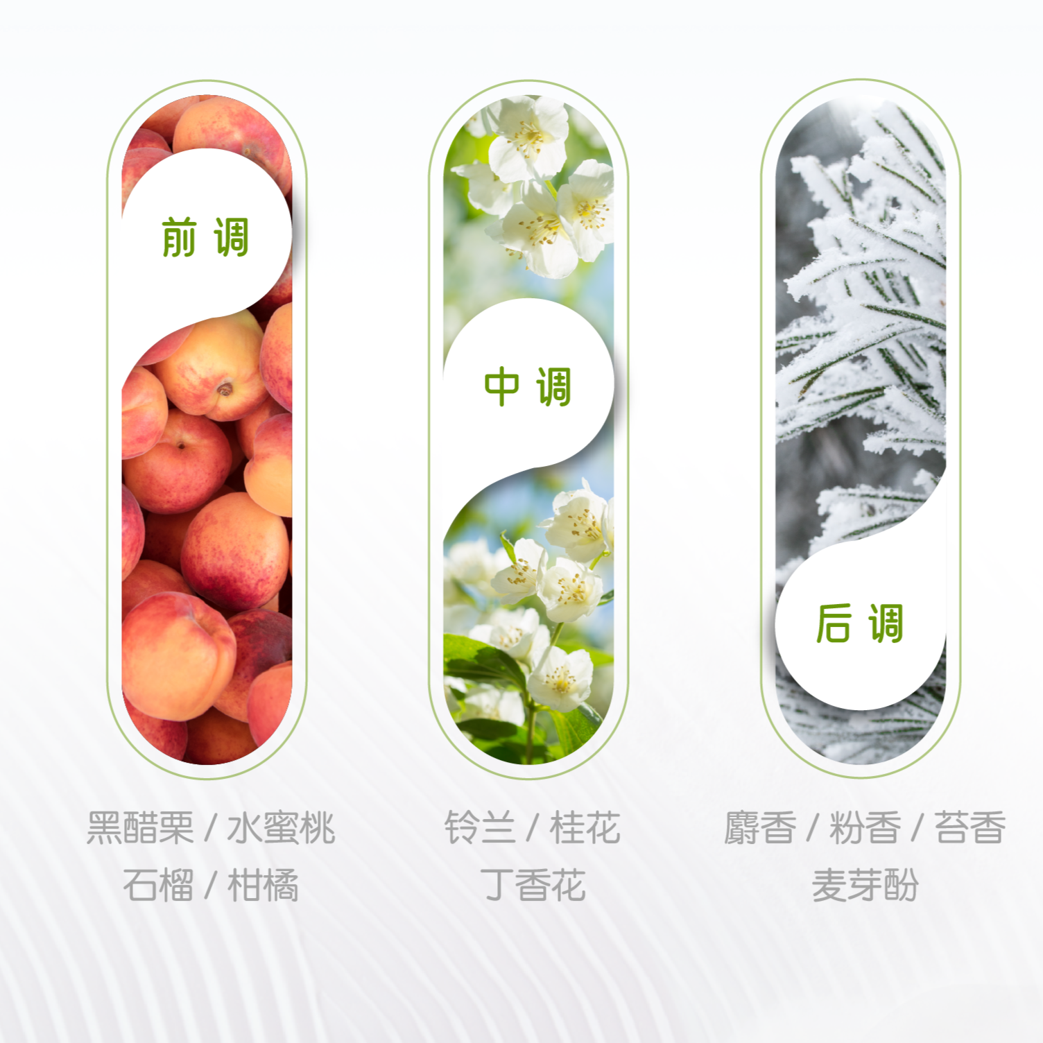 购物之前要识货 正品保障|平台比价|售后无忧