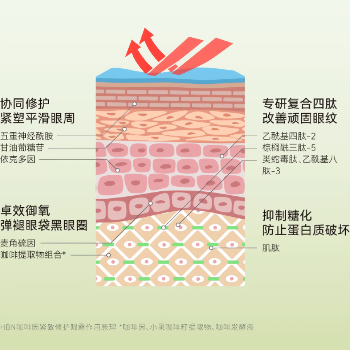 购物之前要识货 正品保障|平台比价|售后无忧