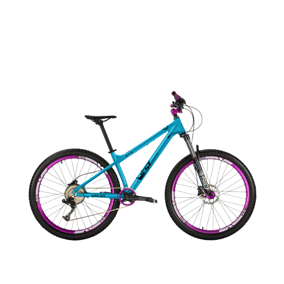 推荐商品：WEST BIKING/西骑者 西骑者300 单车帝联名款 蓝图 多速别 铝合金 重量轻 耐腐蚀 减震 山地车