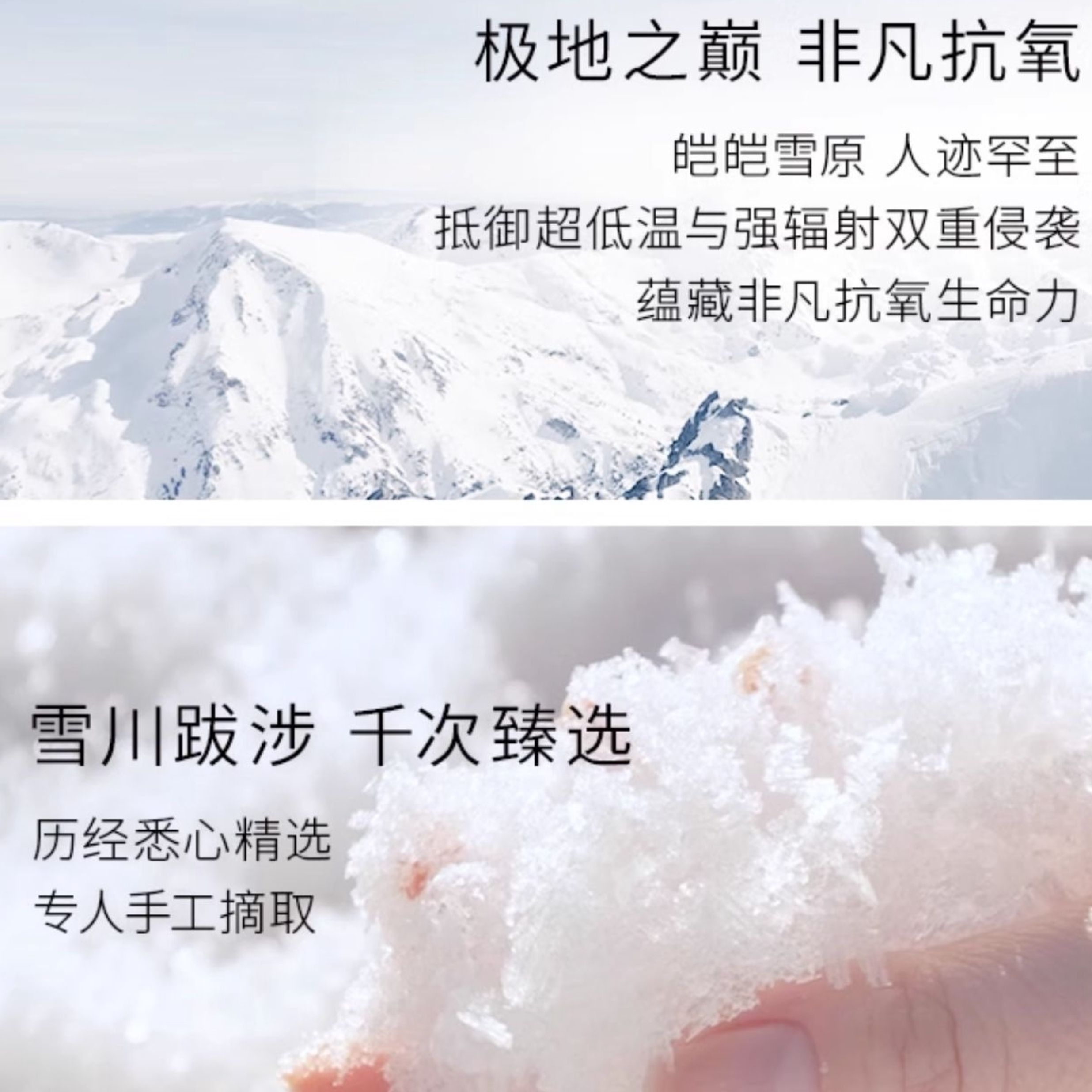 购物之前要识货 正品保障|平台比价|售后无忧