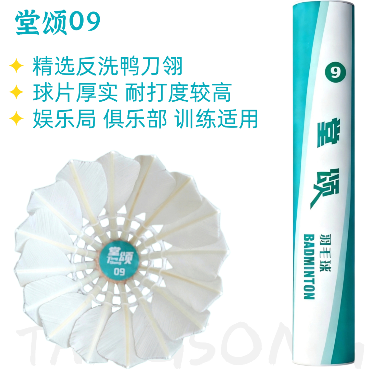 推荐商品：堂颂 耐打系列 9号 训练 比赛 羽毛球 TS2-9