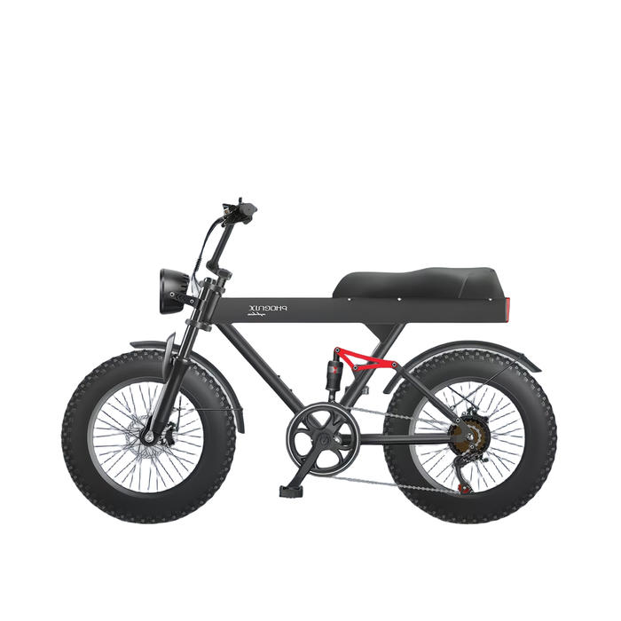 推荐商品:PHOENIX/凤凰 TANKE 越野 豪华 电动自行车