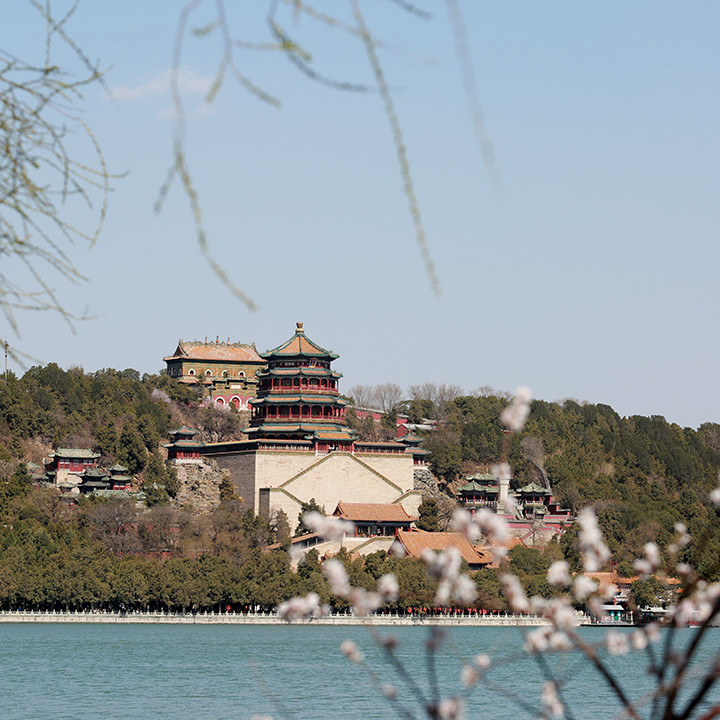 一鏡走天下，春天的頤和園西堤是外景拍攝的首選