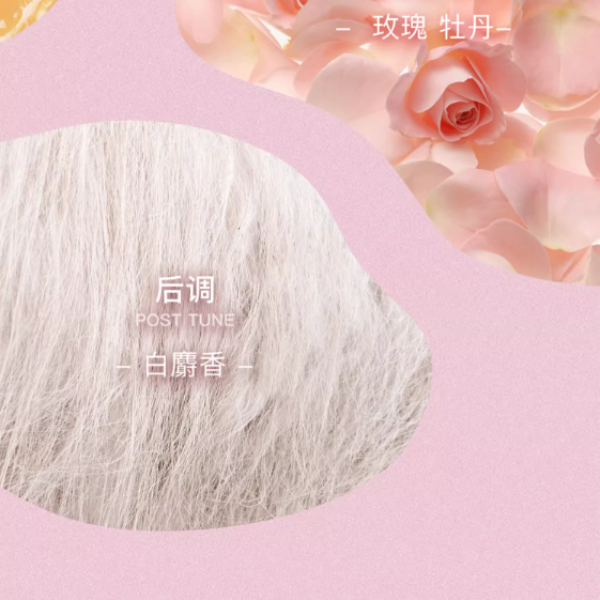 购物之前要识货 正品保障|平台比价|售后无忧