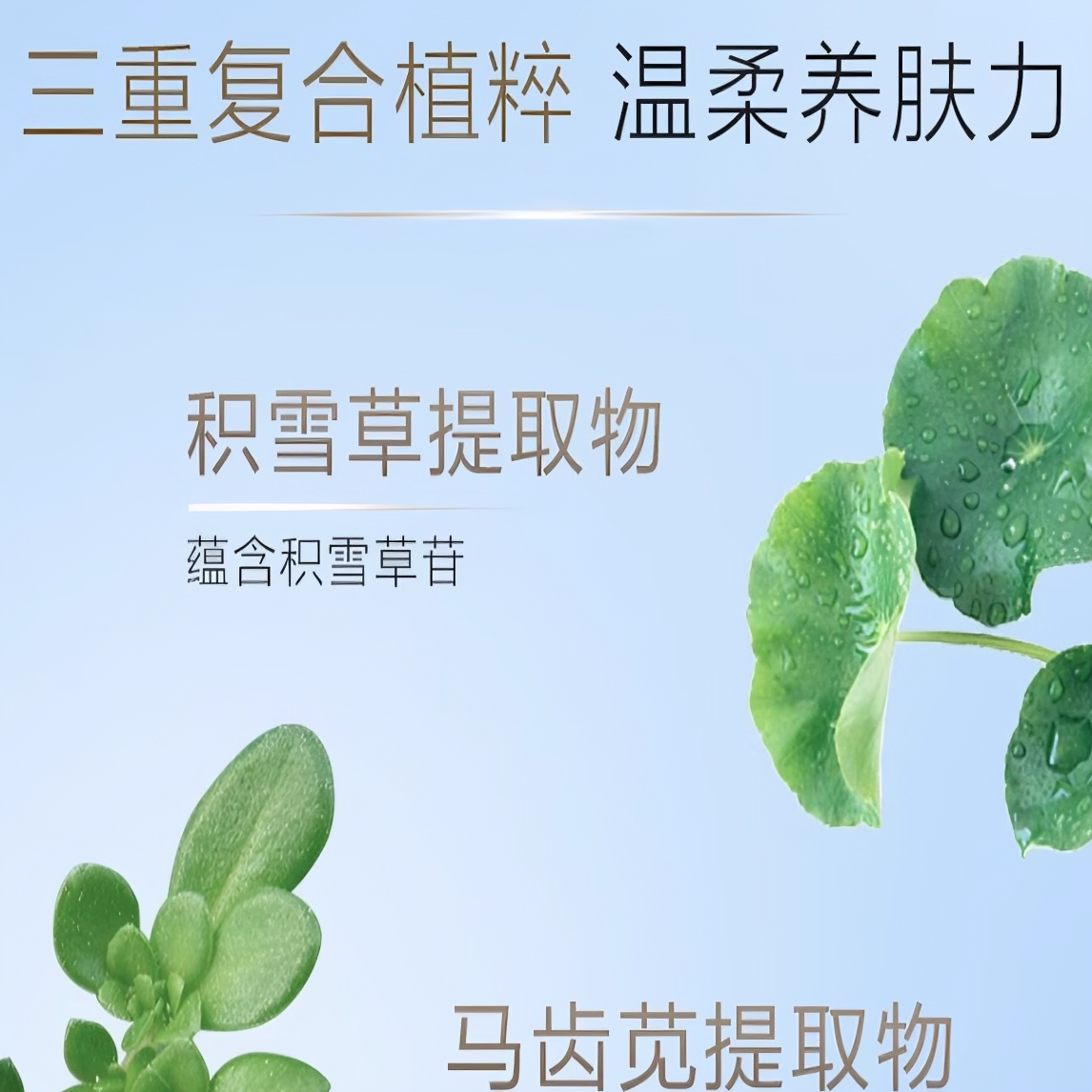 购物之前要识货 正品保障|平台比价|售后无忧