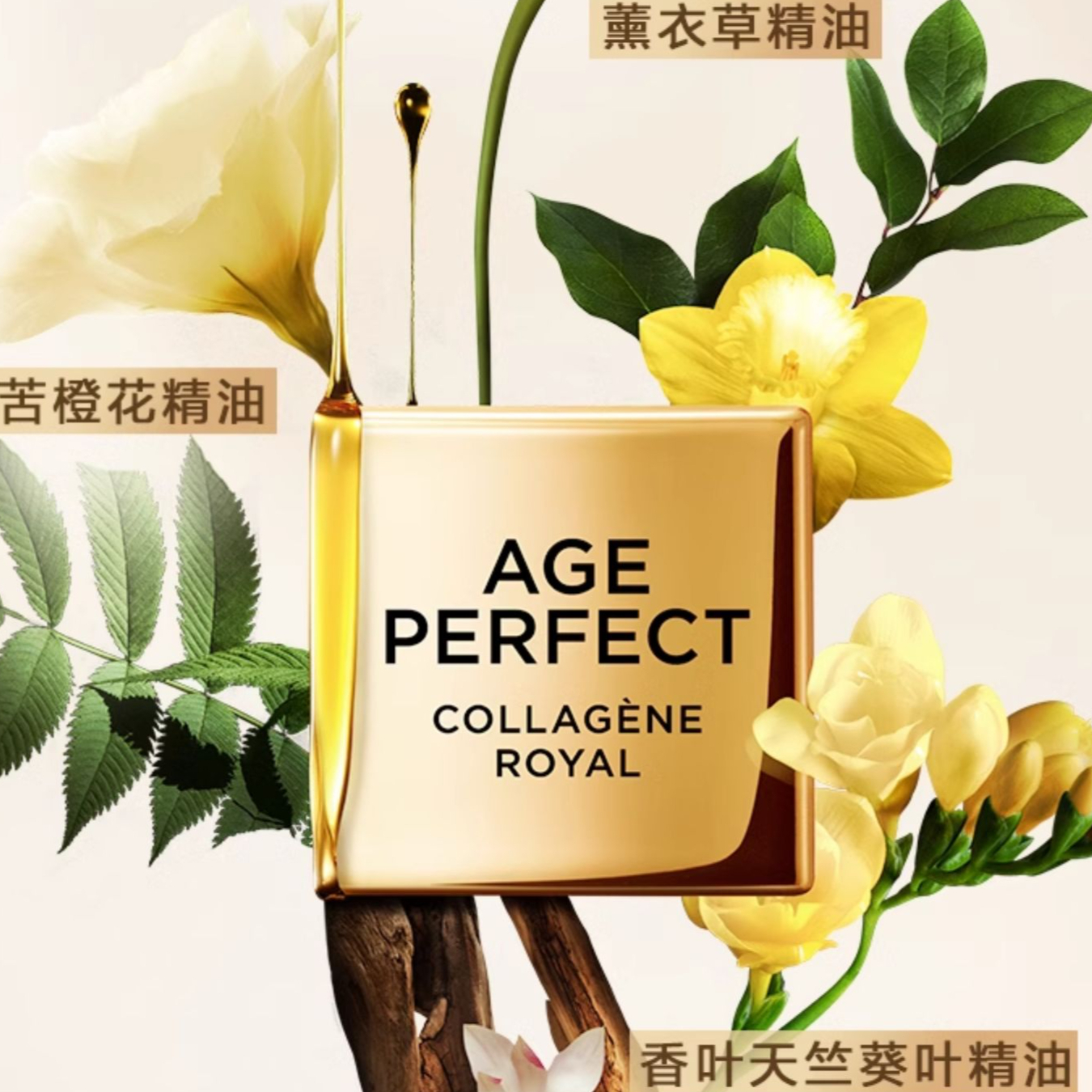 购物之前要识货 正品保障|平台比价|售后无忧