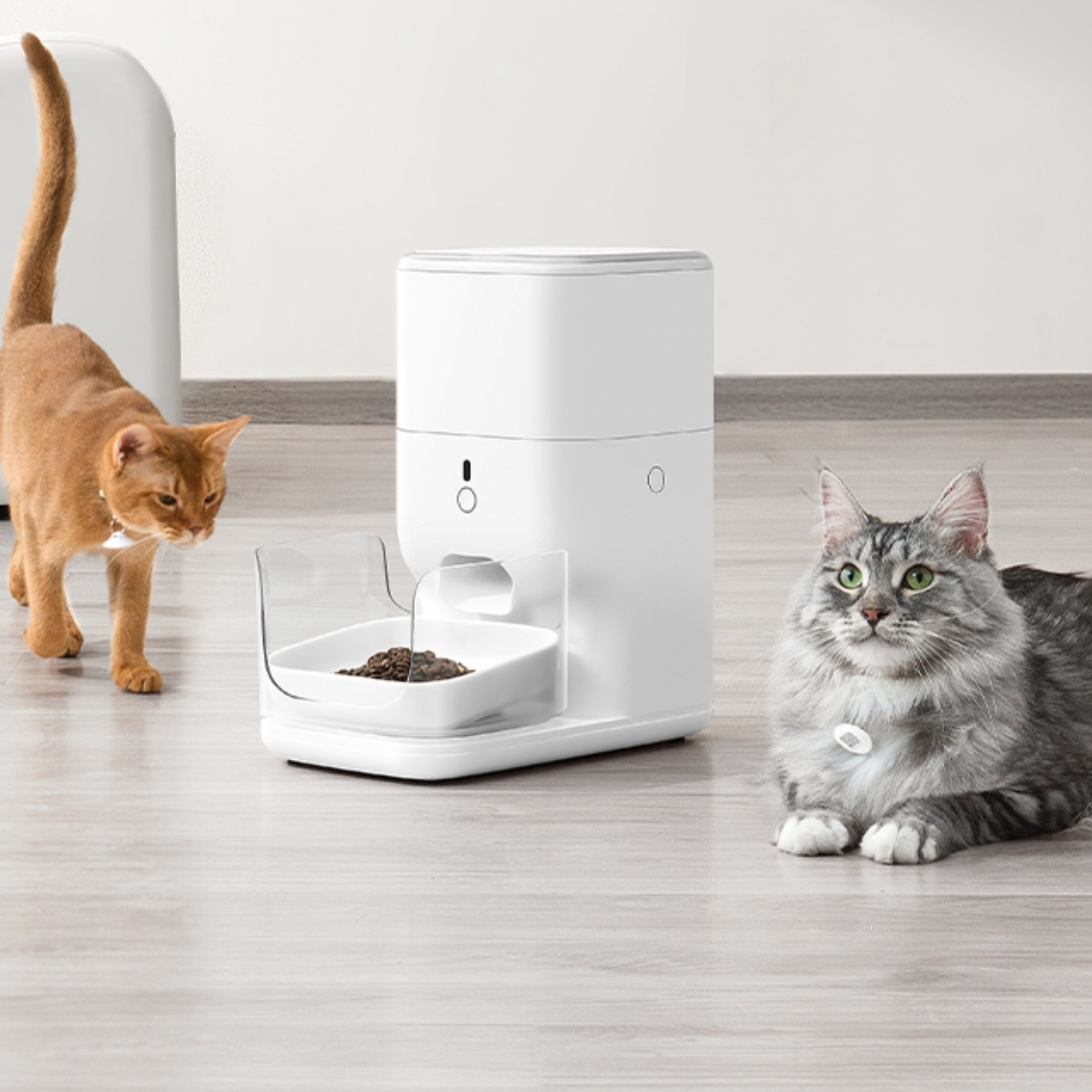 推荐商品：CATLINK FRESH 2宠物智能喂食器 远程控制定时定量