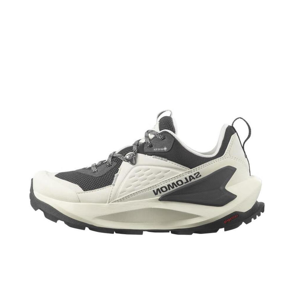 推荐商品：Salomon/萨洛蒙 Elixir GTX 防滑耐磨 缓震回弹 稳定支撑 防水抓地 户外 跑鞋 女款/白色/灰色