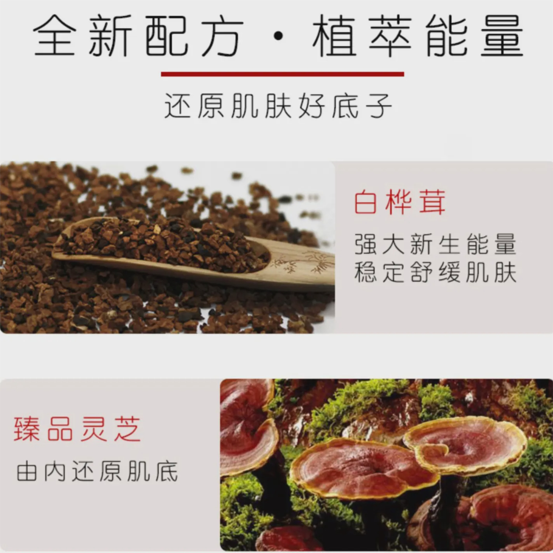 购物之前要识货 正品保障|平台比价|售后无忧