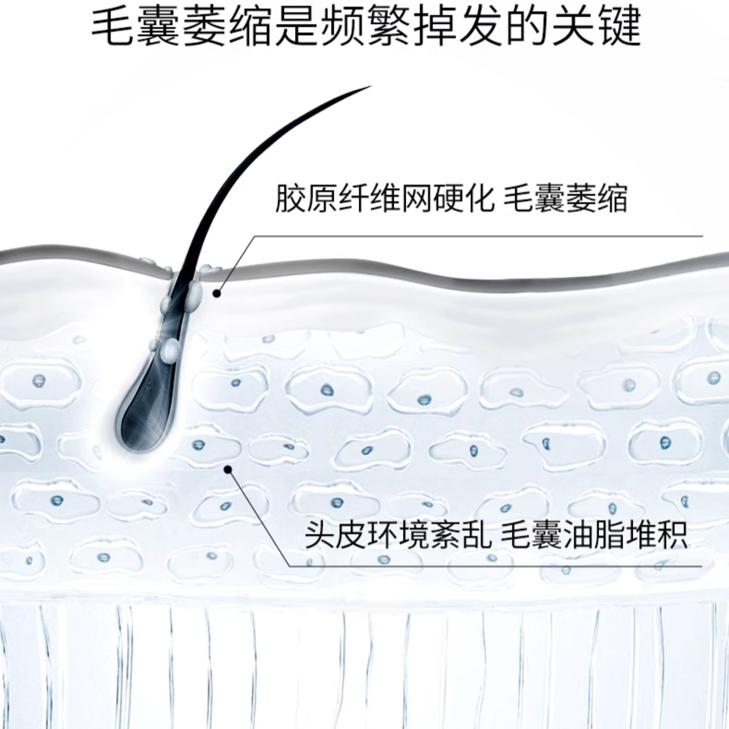 购物之前要识货 正品保障|平台比价|售后无忧