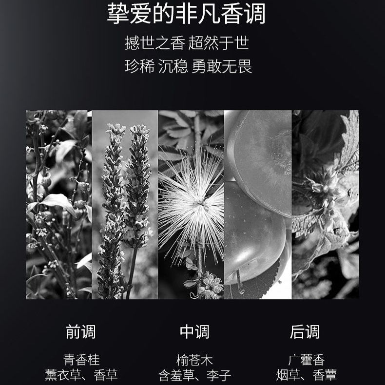 购物之前要识货 正品保障|平台比价|售后无忧