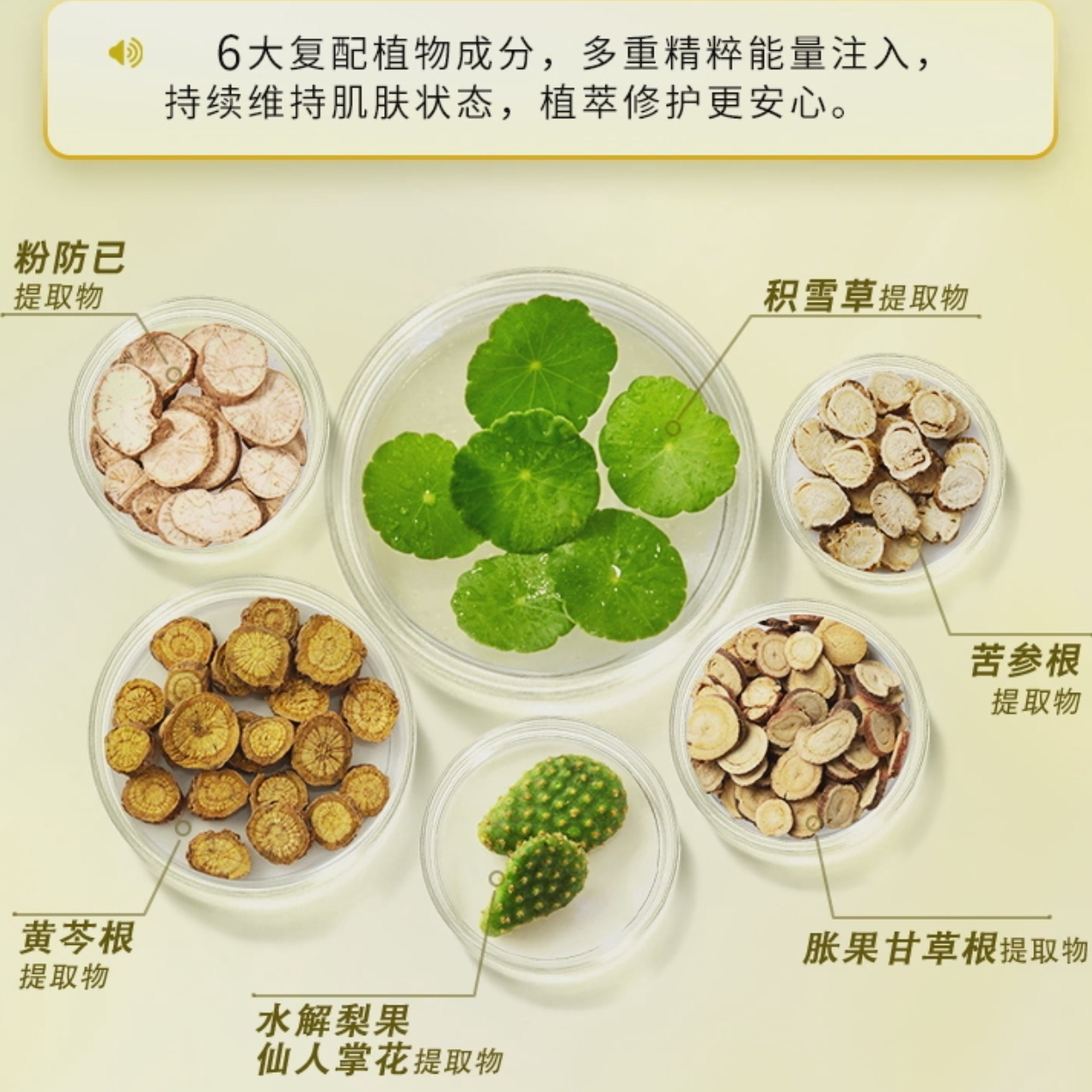 购物之前要识货 正品保障|平台比价|售后无忧