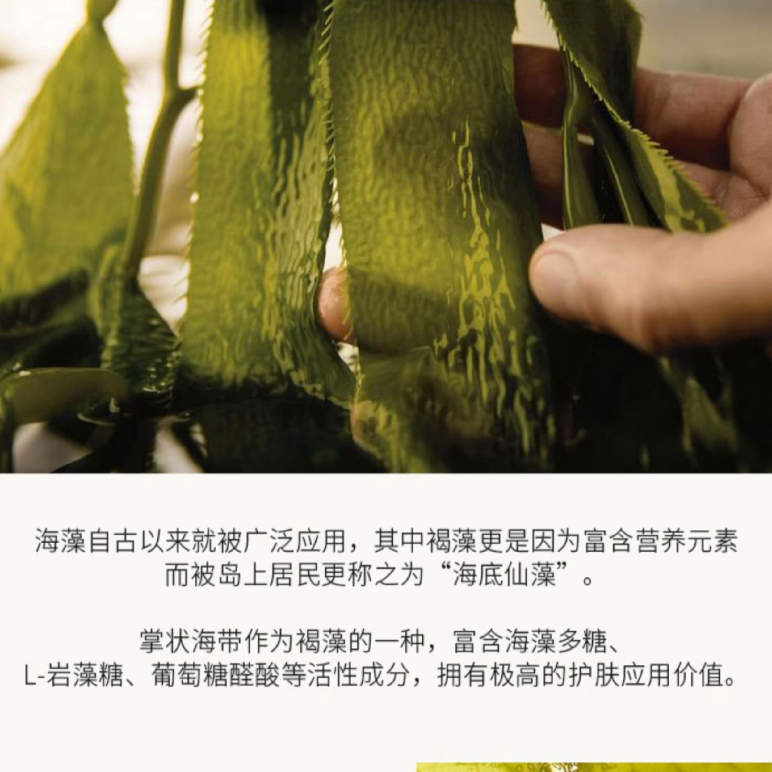 购物之前要识货 正品保障|平台比价|售后无忧