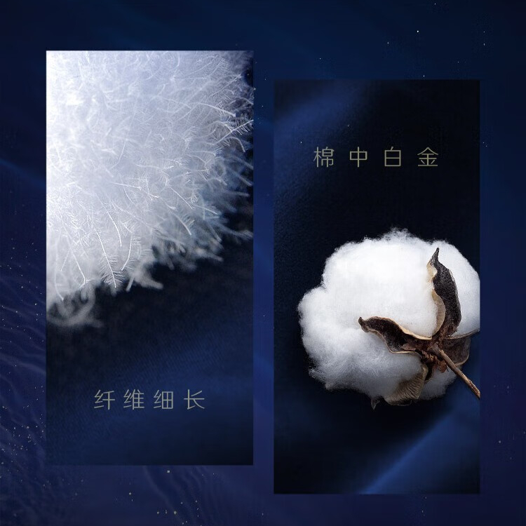 购物之前要识货 正品保障|平台比价|售后无忧