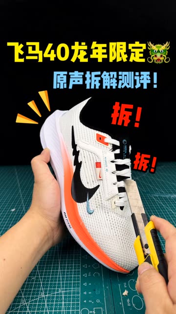 飞马40龙年限定拆解测评！ 